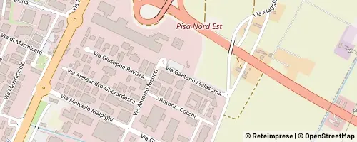 Mappa 피사