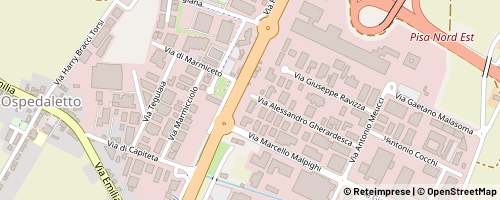 Mappa Pisa