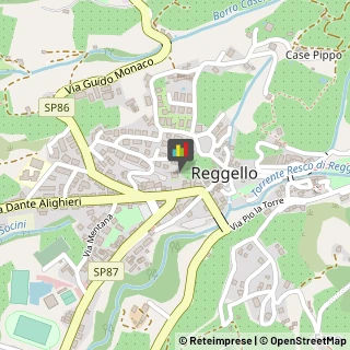 Aziende Sanitarie Locali (ASL) Reggello,50066Firenze