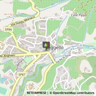 Professionali - Scuole Private Reggello,50066Firenze