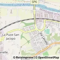 Map Montopoli in Val d'Arno