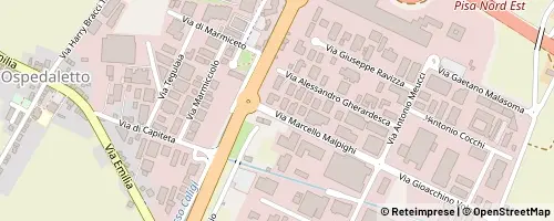 Mappa Pisa