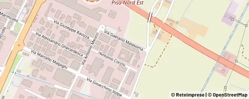 Mappa 피사