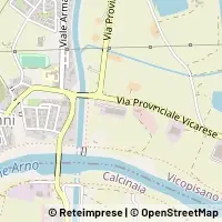 Map Vicopisano