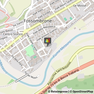 Veterinaria - Ambulatori e Laboratori Fossombrone,61034Pesaro e Urbino