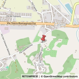 Mappa Via Giuseppe Gori, 3, 56024 San Miniato, Pisa (Toscana)