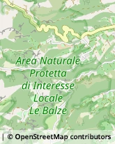 Aziende Agricole Reggello,50066Firenze