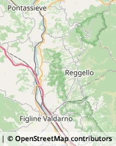 Aziende Agricole Reggello,50066Firenze