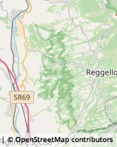 Aziende Agricole Reggello,50066Firenze