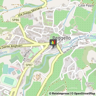 Notai Reggello,50066Firenze