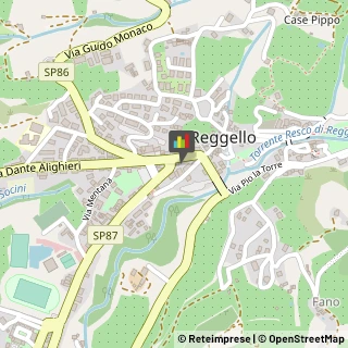 Palestre e Centri Fitness Reggello,50066Firenze