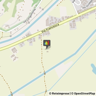 Animali Domestici - Toeletta Santa Maria a Monte,56020Pisa