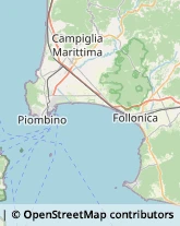 Imprese di Pulizia Campiglia Marittima,57021Livorno