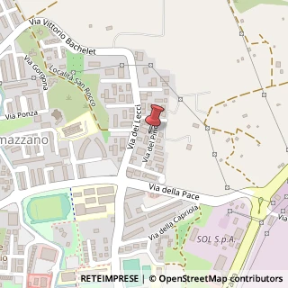 Mappa Via del Pino, 8, 57025 Piombino, Livorno (Toscana)