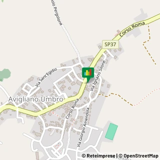 Mappa Via Roma, 224, 05020 Avigliano Umbro, Terni (Umbria)