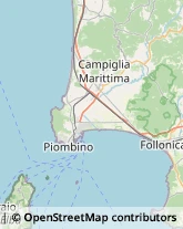 Autofficine e Centri Assistenza Campiglia Marittima,57021Livorno