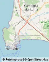 Autofficine e Centri Assistenza Campiglia Marittima,57021Livorno