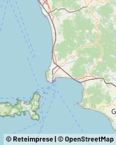 Autofficine e Centri Assistenza Campiglia Marittima,57021Livorno