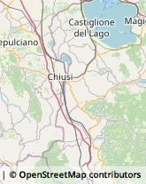 Agenzie Immobiliari Chiusi,53043Siena