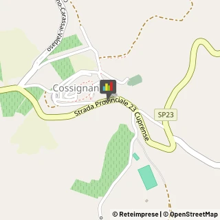 Cooperative e Consorzi Cossignano,63067Ascoli Piceno