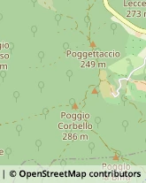 Via Grossetana, 47,58036Roccastrada