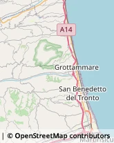 Cereali e Granaglie San Benedetto del Tronto,63074Ascoli Piceno