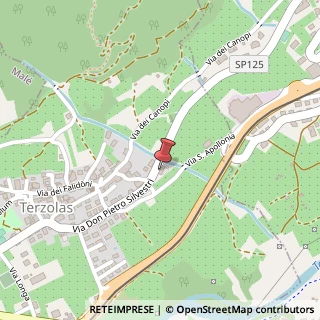 Mappa Via Don Pietro Silvestri, 1, 38027 Terzolas, Trento (Trentino-Alto Adige)