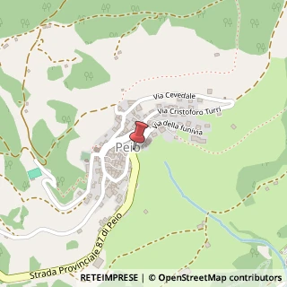 Mappa Corso del Popolo, 95, 38024 Peio, Trento (Trentino-Alto Adige)