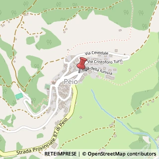 Mappa Via XXIV Maggio, 28, 38024 Peio, Trento (Trentino-Alto Adige)