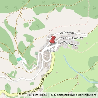 Mappa Via Osoppo, 244, 38024 Peio, Trento (Trentino-Alto Adige)
