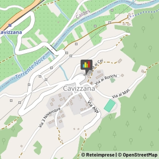 Psicologi Cavizzana,38022Trento