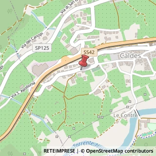 Mappa Via per Sant'Apollonia, 3, 38022 Caldes, Trento (Trentino-Alto Adige)