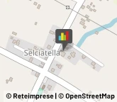 Supermercati e Grandi magazzini,04011Latina
