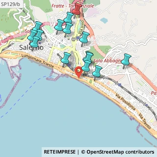 Mappa Via Alfonso Carella, 84123 Salerno SA, Italia (1.13)