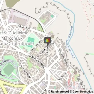 Veterinaria - Ambulatori e Laboratori,75100Matera