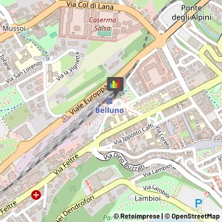 Trasporto Pubblico,32100Belluno