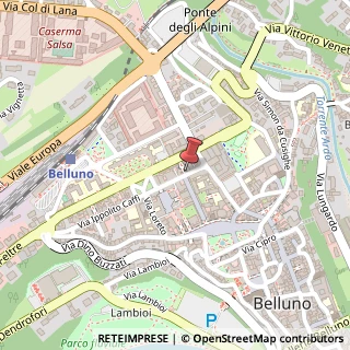 Mappa Via Ippolito Caffi, 26, 32100 Belluno, Belluno (Veneto)