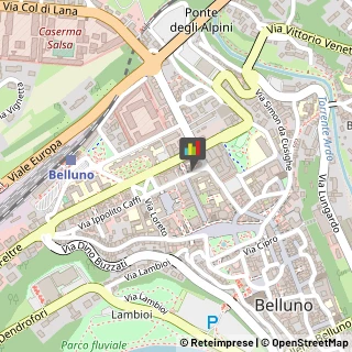 Fibre Ottiche Belluno,32100Belluno