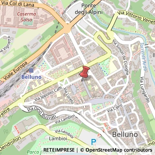 Mappa Via Psaro Rodolfo, 21, 32100 Belluno, Belluno (Veneto)