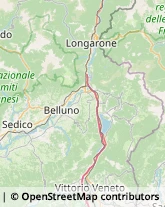 Assicurazioni Belluno,32100Belluno