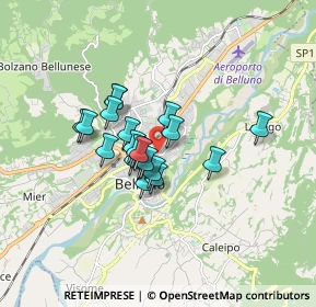 Mappa Via Bortot Francesco, 32100 Belluno BL, Italia (1.1295)