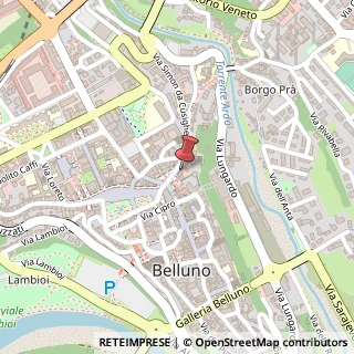 Mappa Via Roma, 13, 32100 Belluno, Belluno (Veneto)