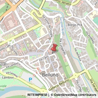 Mappa 15, 32100 Belluno, Belluno (Veneto)