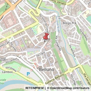 Mappa Via Roma, 10, 32100 Belluno, Belluno (Veneto)