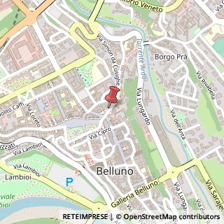 Mappa Via Roma, 18, 32100 Belluno, Belluno (Veneto)
