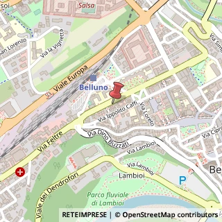 Mappa Via Cavour, 45, 32100 Belluno, Belluno (Veneto)