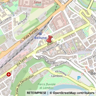 Mappa Via Cavour, 61, 32100 Belluno, Belluno (Veneto)