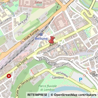 Mappa Via Cavour, 49, 32100 Belluno, Belluno (Veneto)