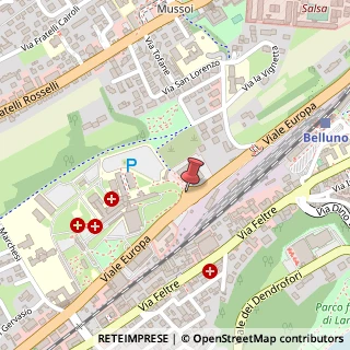 Mappa Strada statale Ss50, KM 13,294, 32100 Belluno, Belluno (Veneto)