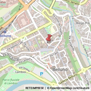 Mappa Via Jacopo Tasso, 4a, 32100 Belluno, Belluno (Veneto)